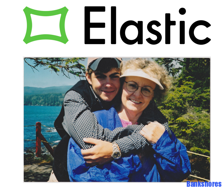 elastic loan login